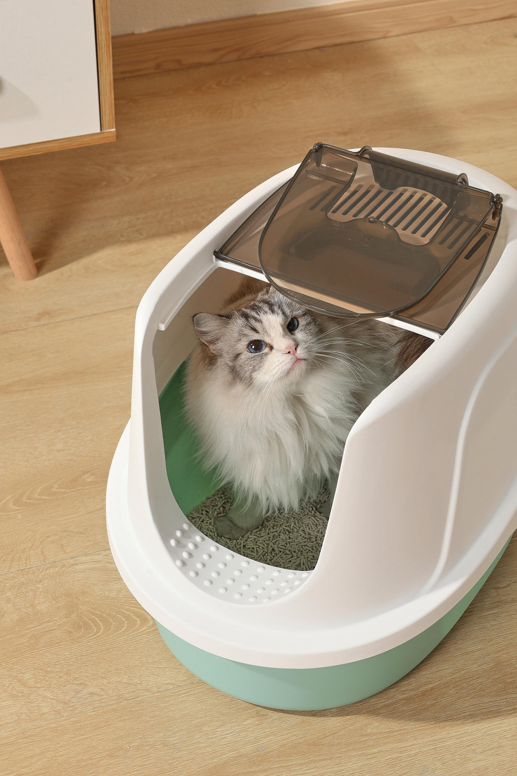 Lettiera per Gatti ECO TIMA - Verde Mare