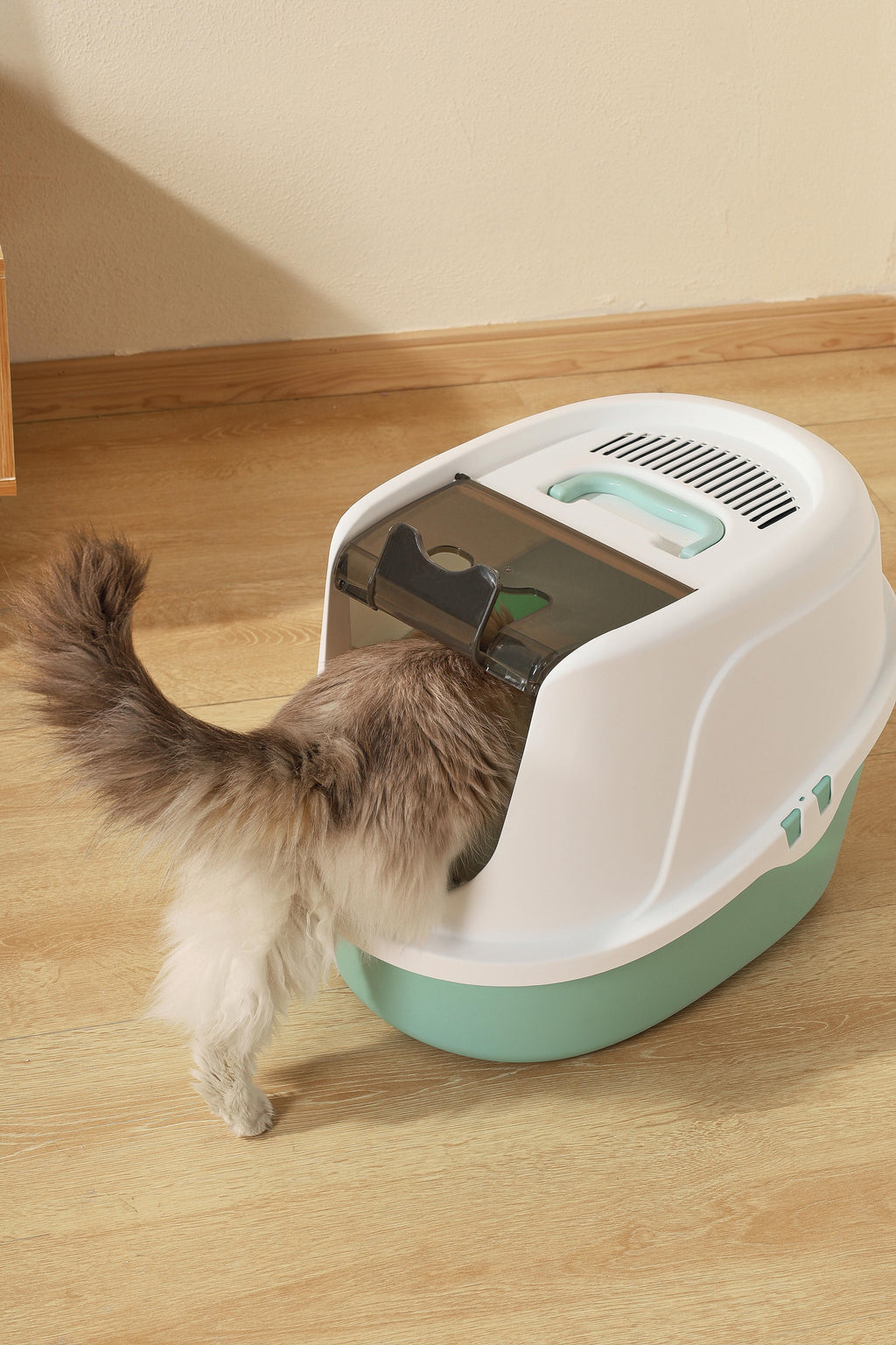 Lettiera per Gatti ECO TIMA - Verde Mare