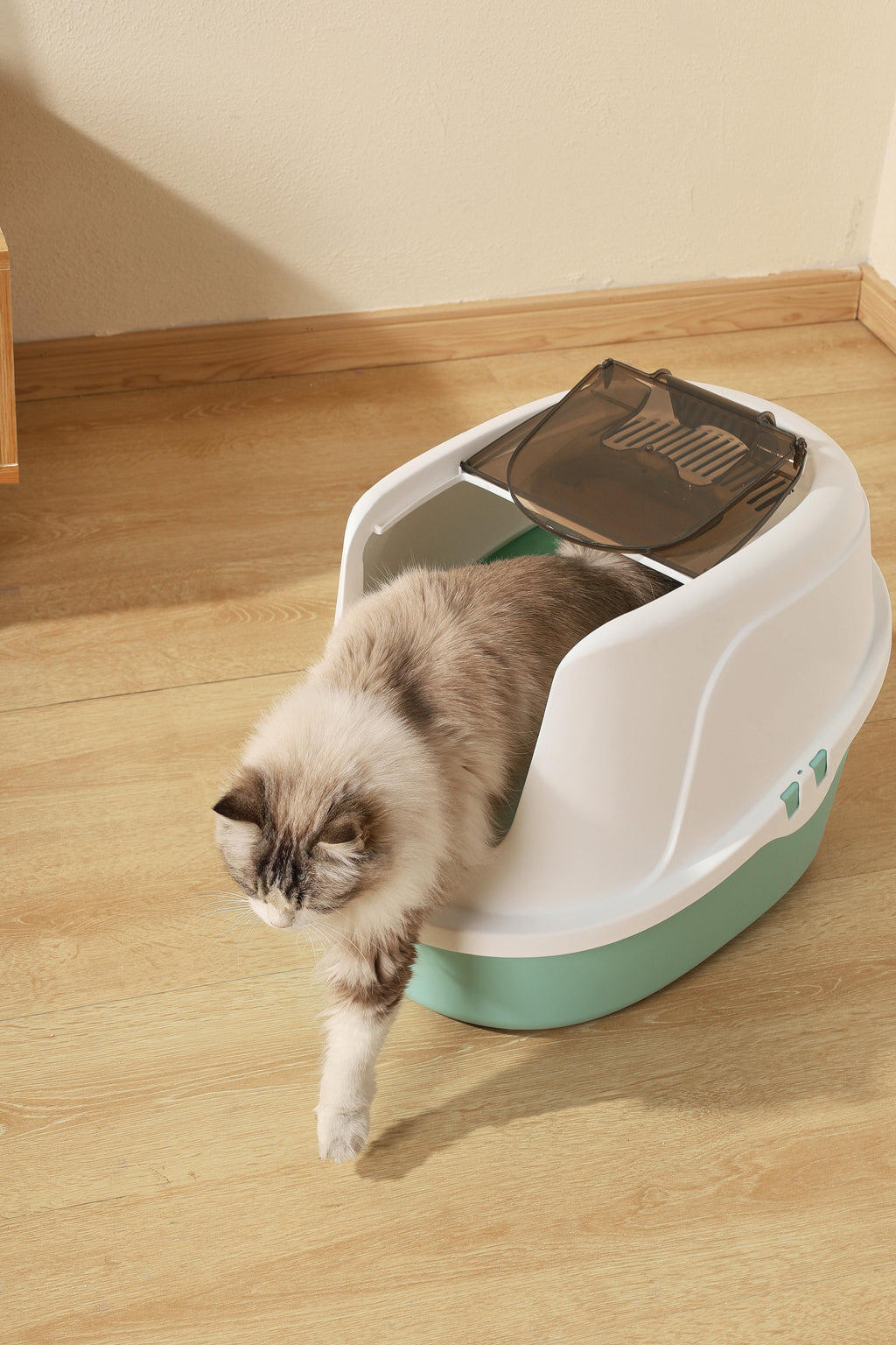 Lettiera per Gatti ECO TIMA - Verde Mare