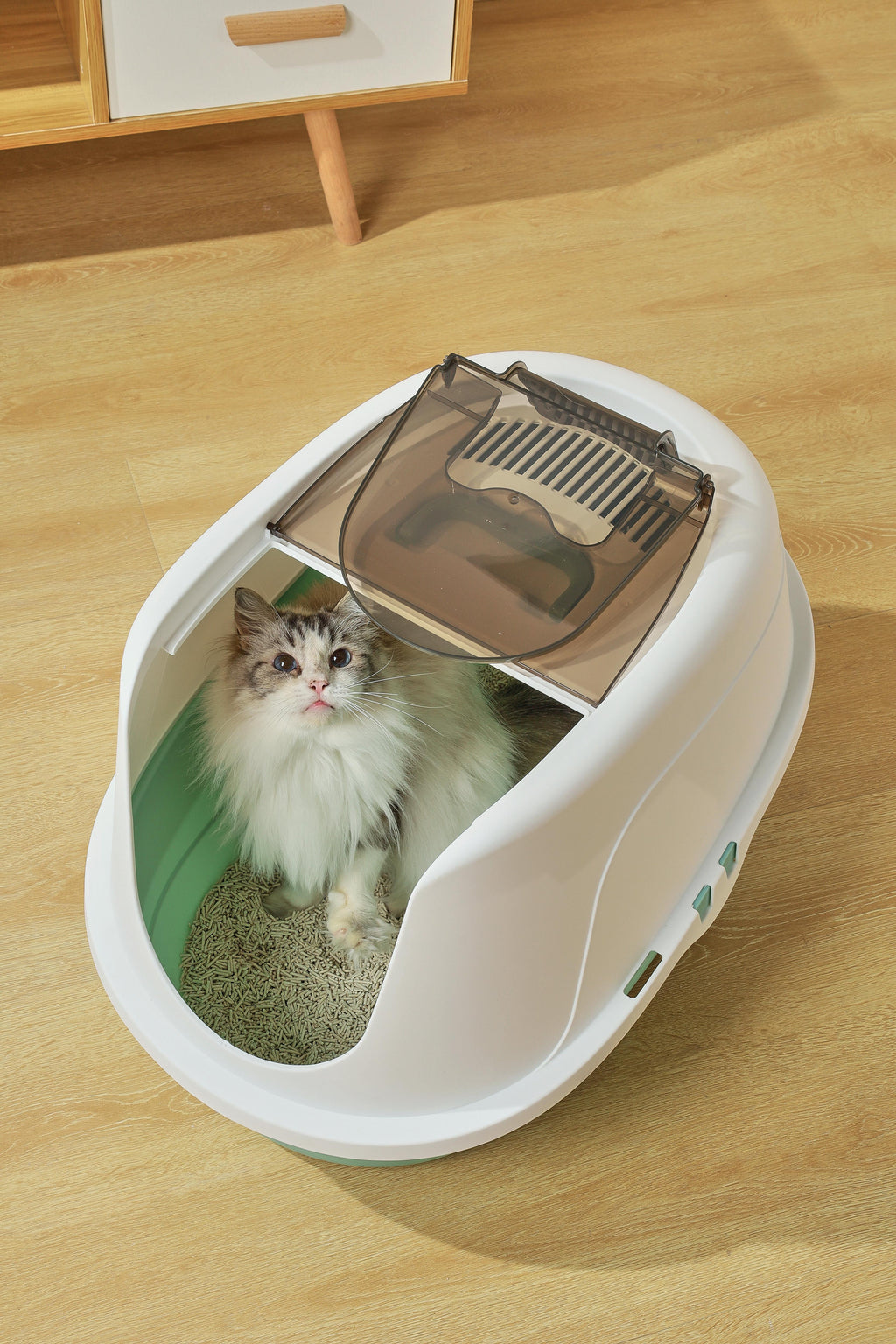 Lettiera per Gatti ECO TIMA - Verde Mare