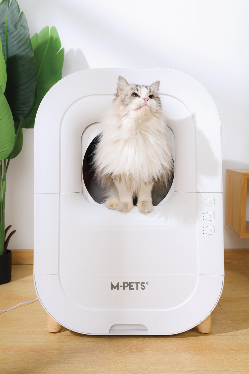 SMARTO M500 Lettiera Automatica per Gatti
