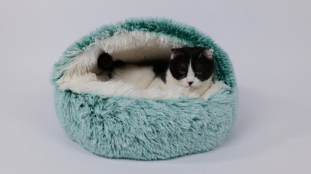 SNUGO ECO Cuccia per Gatti - Verde