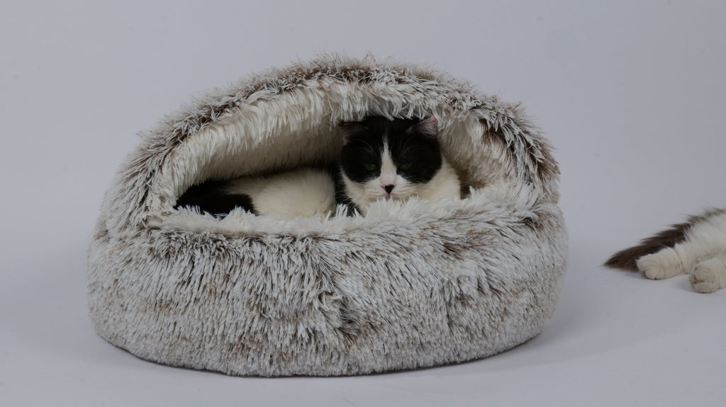 Cuccia per Gatti SNUGO ECO - Grigio