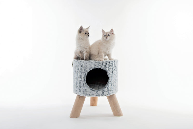 CUCCIA PER GATTO IN CAMOSCIO SNAKE