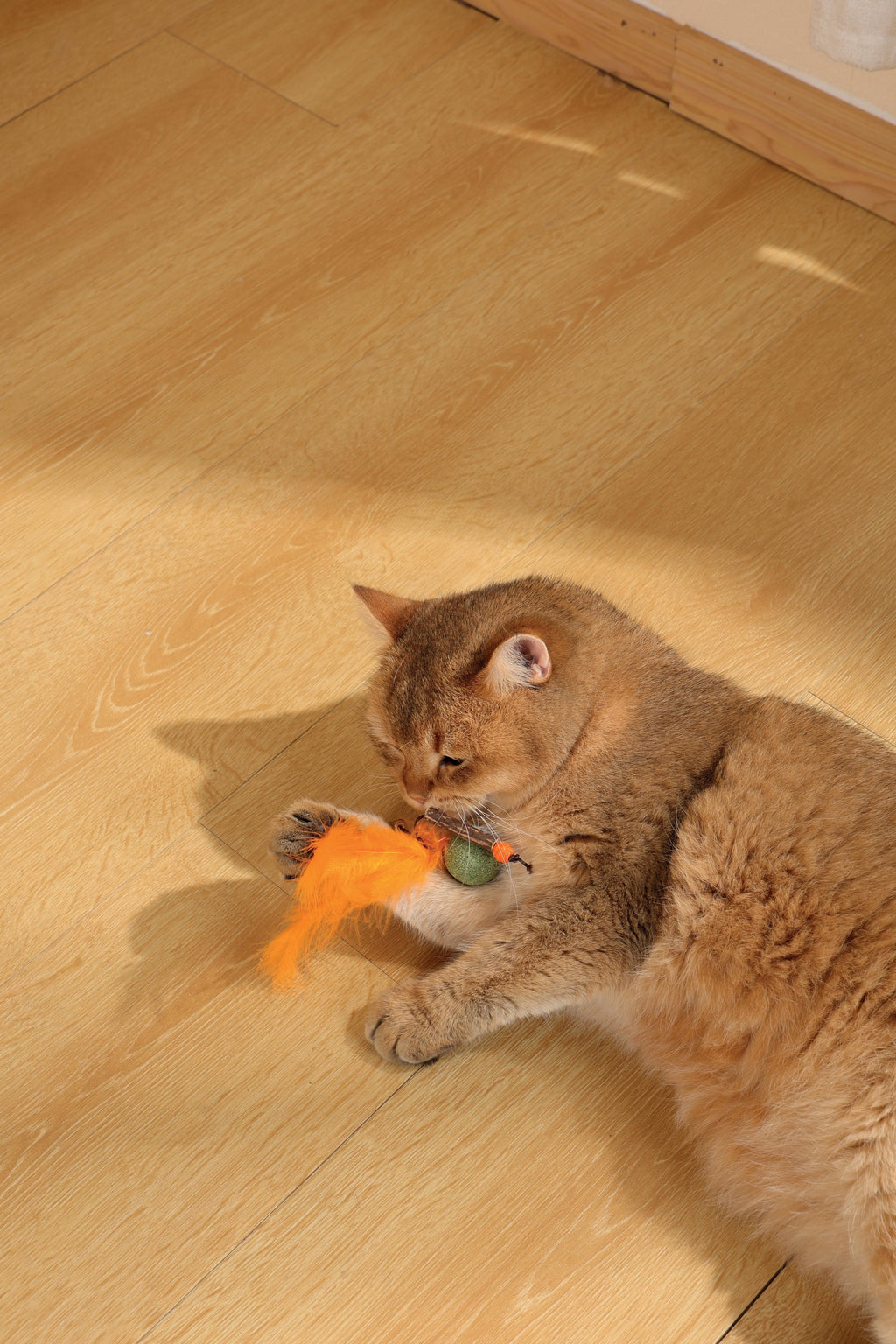 Giocattolo per gatti CHARMY Catnip - BUGBEAR Arancione