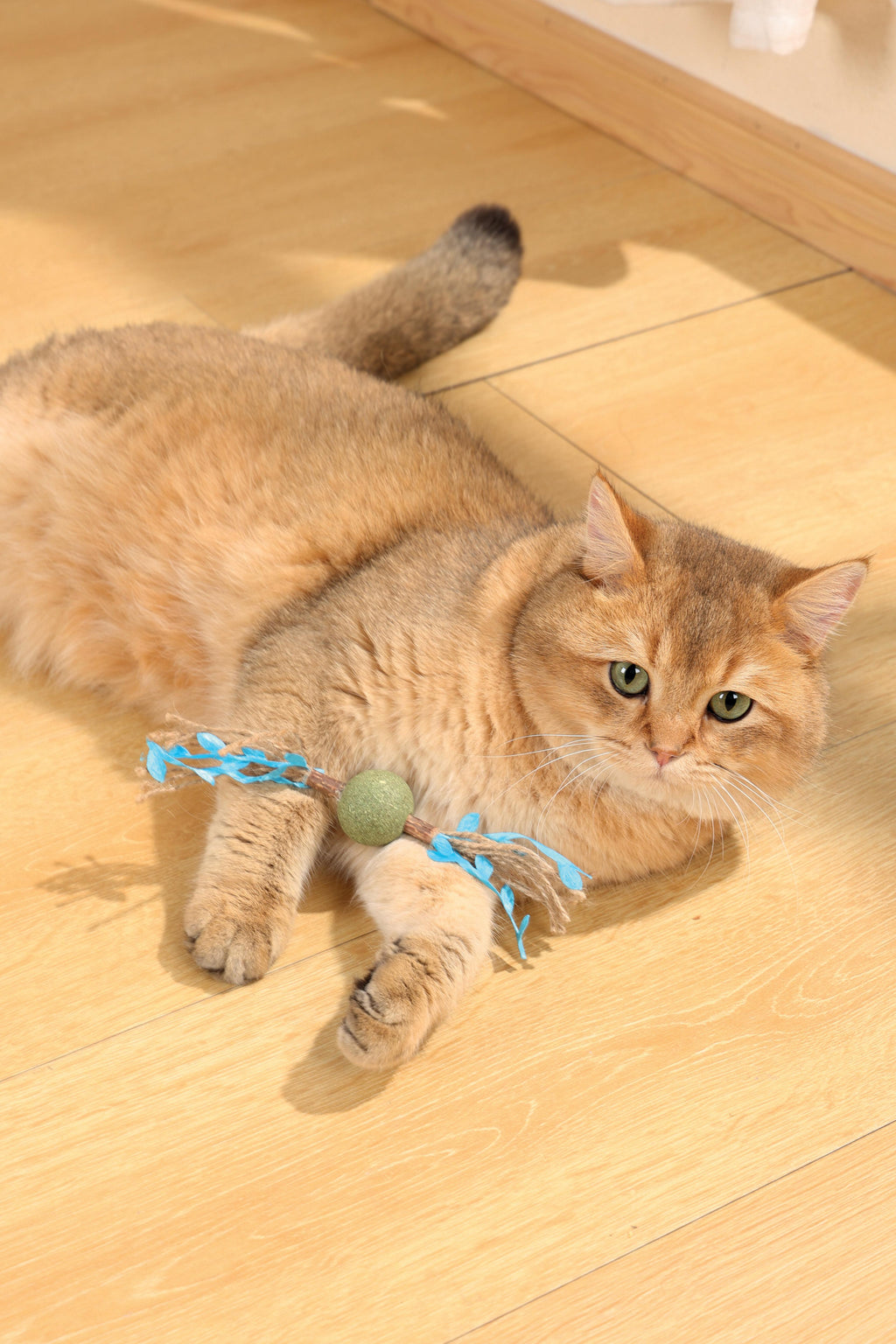 Giocattolo per gatti CHARMY con erba gatta - RAMO D'ALBERO Blu