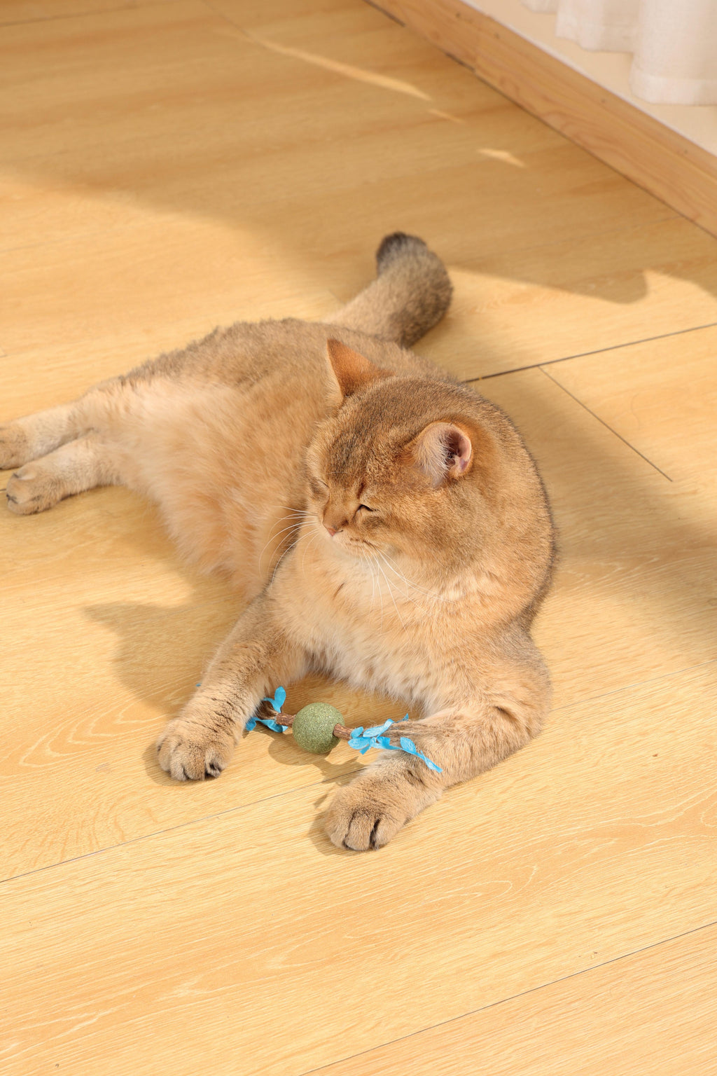 Giocattolo per gatti CHARMY con erba gatta - RAMO D'ALBERO Blu