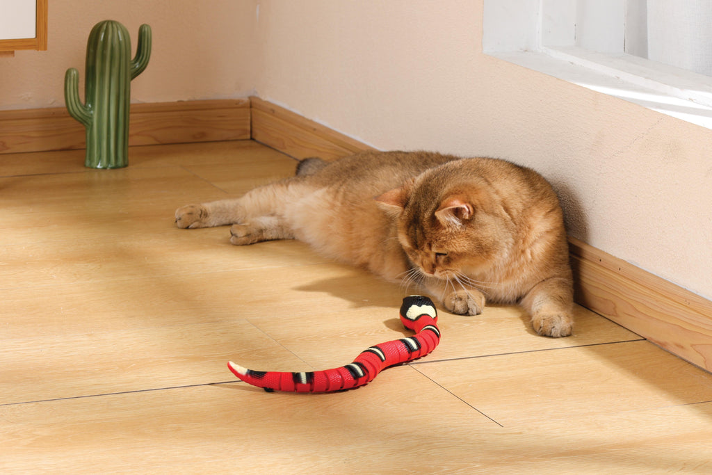 Gioco Interattivo per Gatti Sneaky Snake