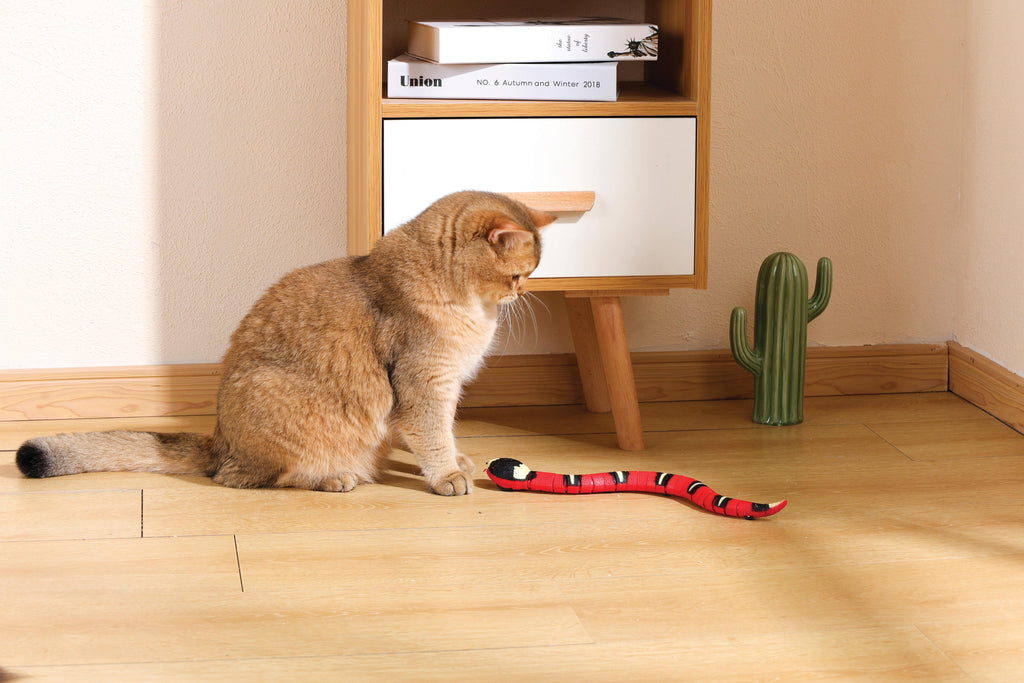 Gioco Interattivo per Gatti Sneaky Snake