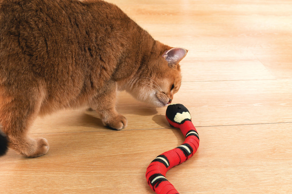 Gioco Interattivo per Gatti Sneaky Snake