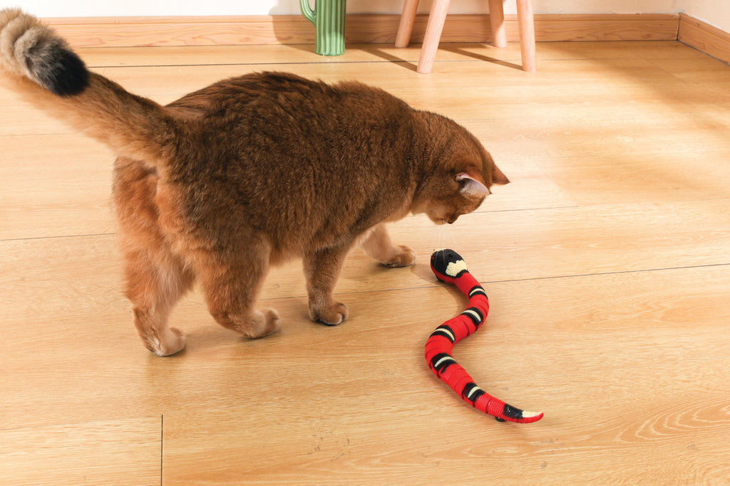Gioco Interattivo per Gatti Sneaky Snake