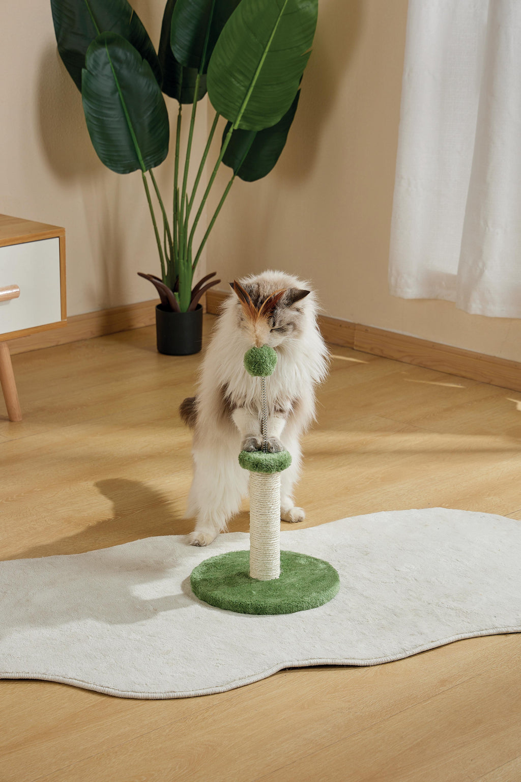 IL MIO PRIMO ALBERO PER GATTI Verde Piuma