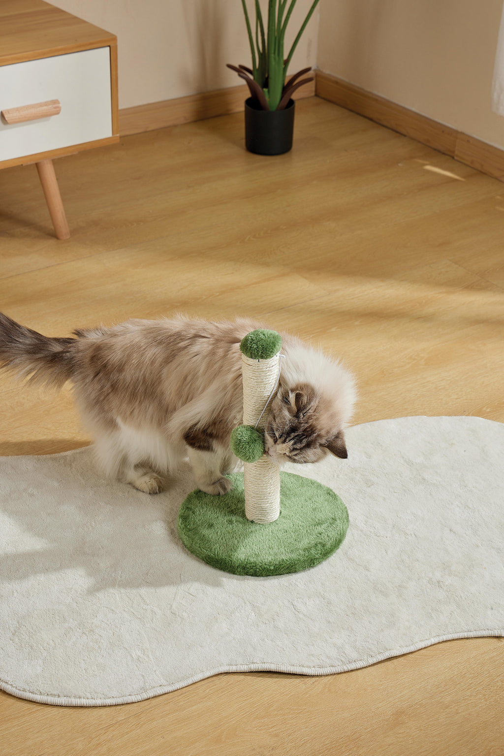IL MIO PRIMO ALBERO PER GATTI Pompom Verde