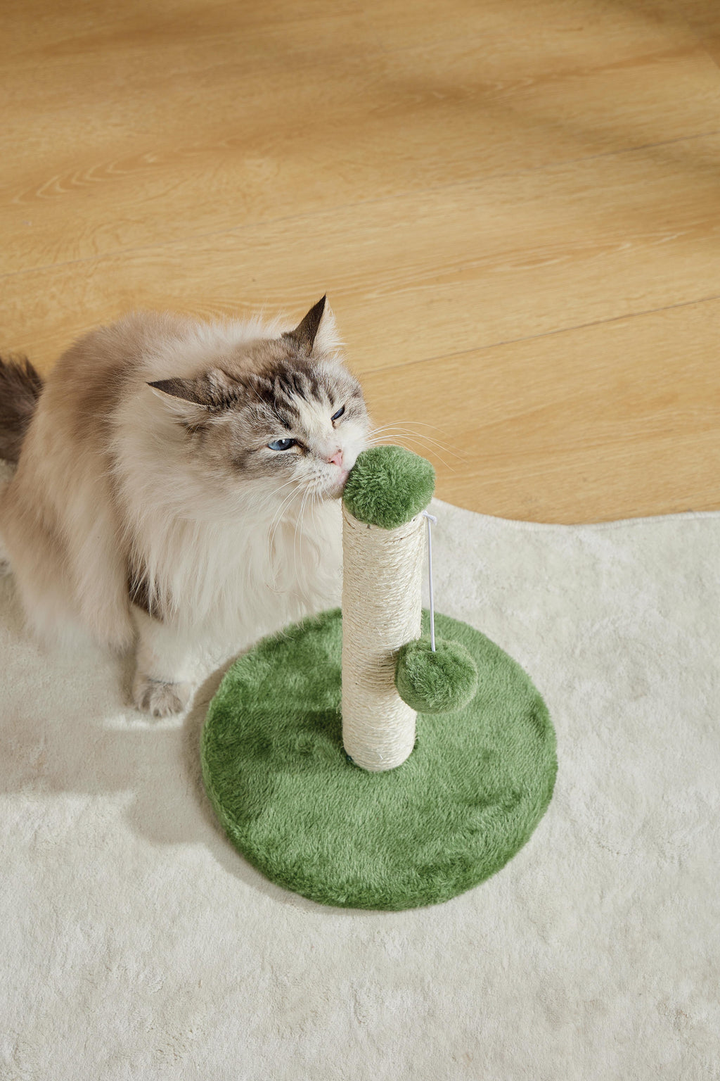 IL MIO PRIMO ALBERO PER GATTI Pompom Verde
