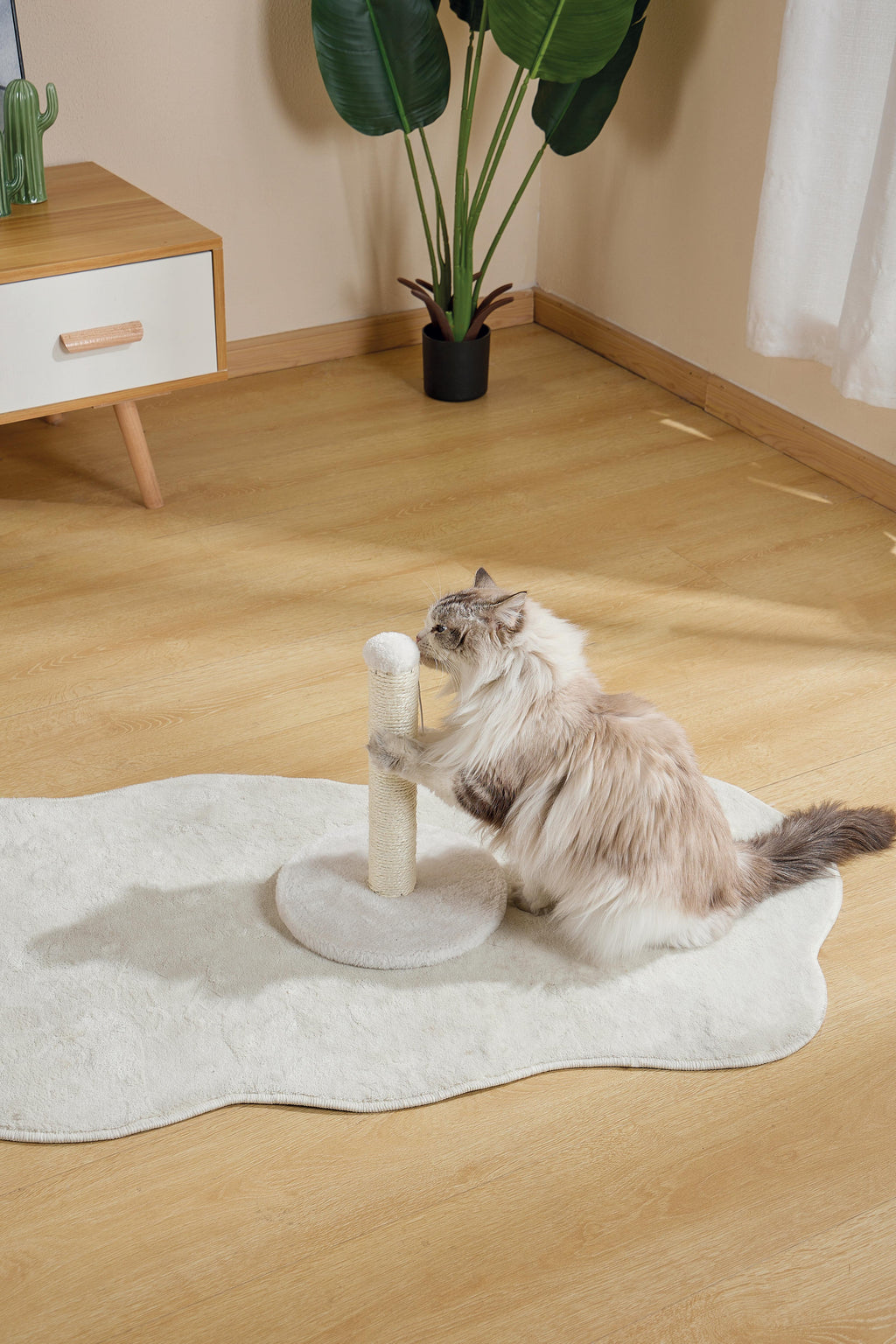IL MIO PRIMO ALBERO PER GATTI Pompom Bianco