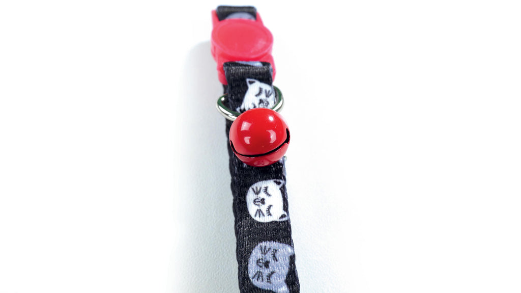 Collare ZANY Cat ECO Nero e Rosso