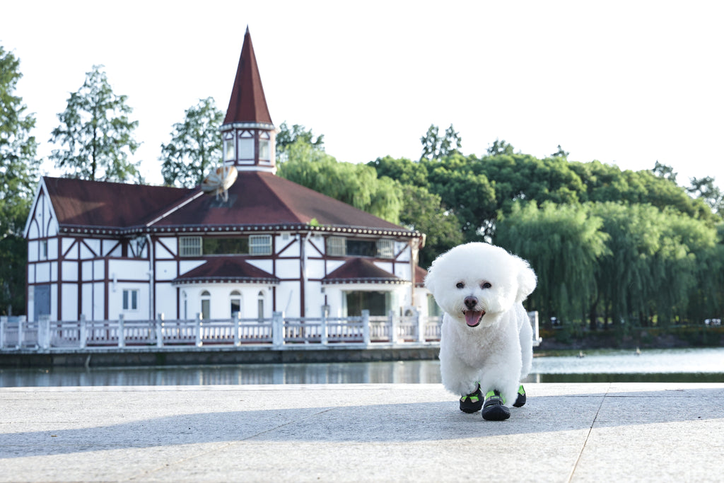 FLEXI SHOES Dog - Green edition