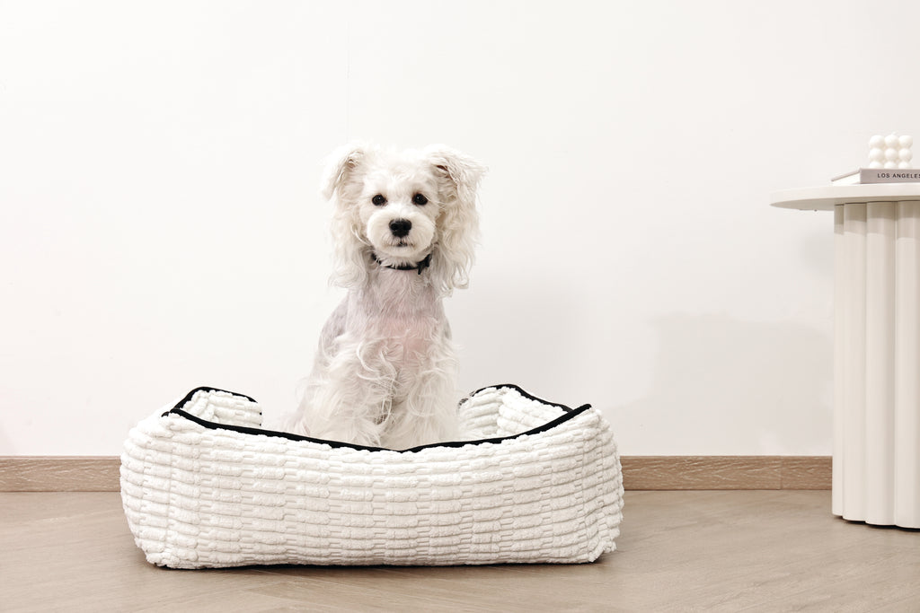 KEEP CALM Calming pheromone collar set for DOGS - 4 pcs