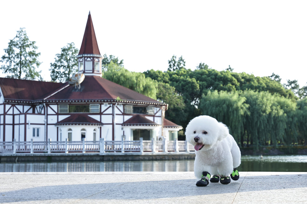 FLEXI SHOES Dog - Green edition