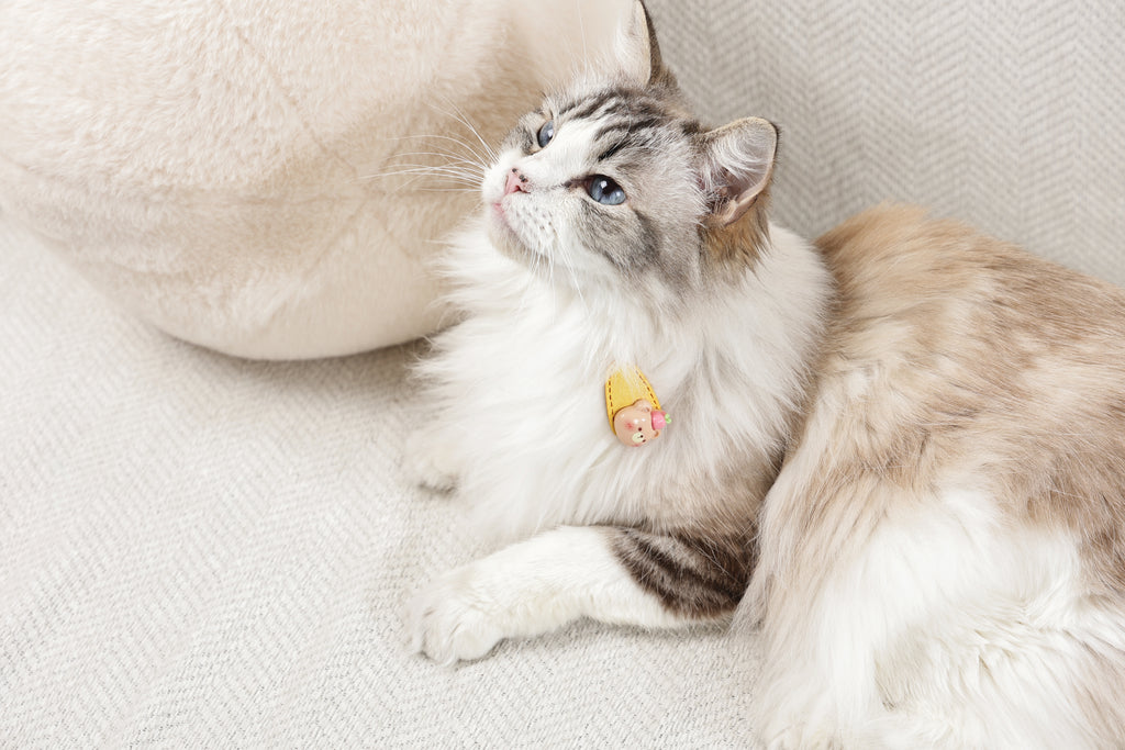 GLAM Accessori per capelli per animali clip - Giallo