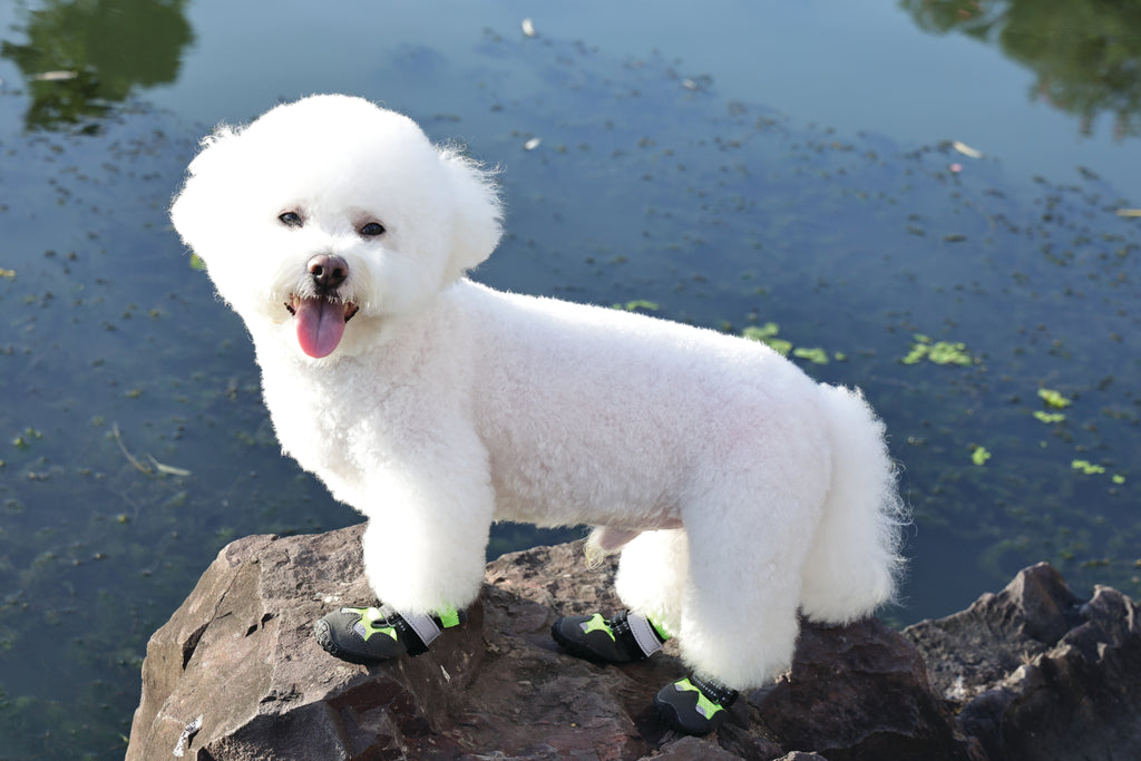 FLEXI SHOES Dog - Green edition