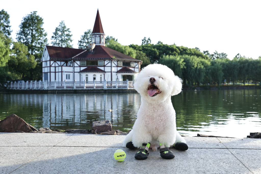 FLEXI SHOES Dog - Green edition
