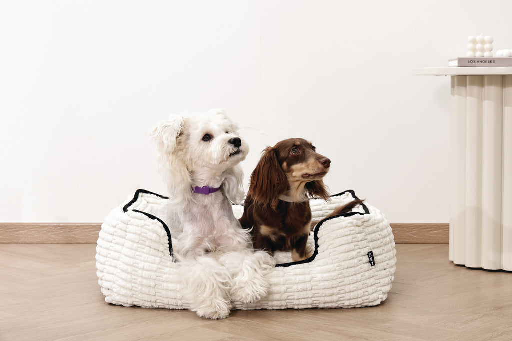 KEEP CALM Calming pheromone collar set for DOGS - 4 pcs