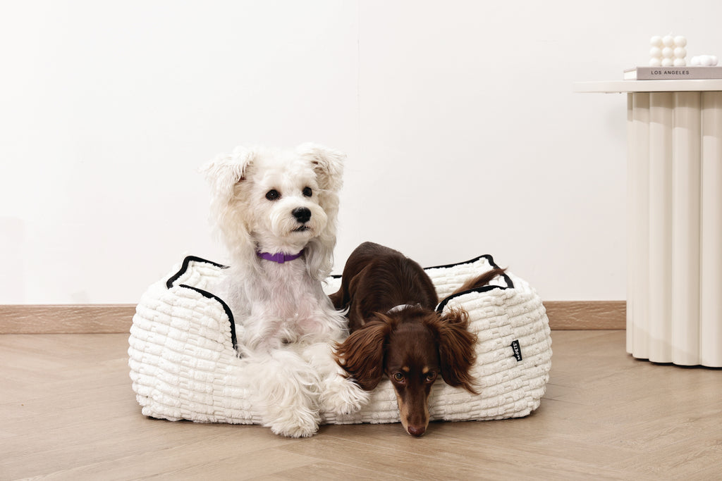 KEEP CALM Calming pheromone collar set for DOGS - 4 pcs