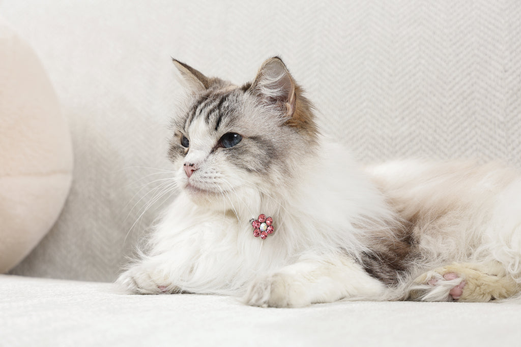 GLAM Accessori per capelli per animali clip a forma di fiore - Rosa e Bianco