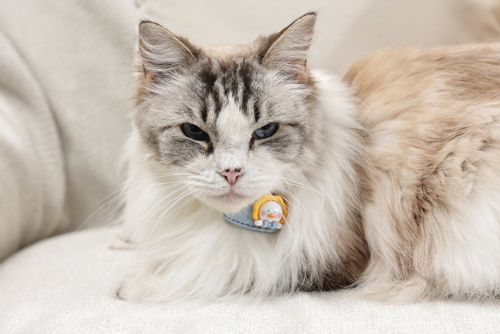 GLAM Accessori per capelli per animali clip - Giallo