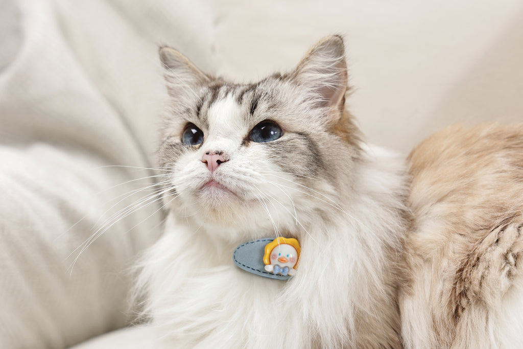 GLAM Accessori per capelli per animali clip - Giallo