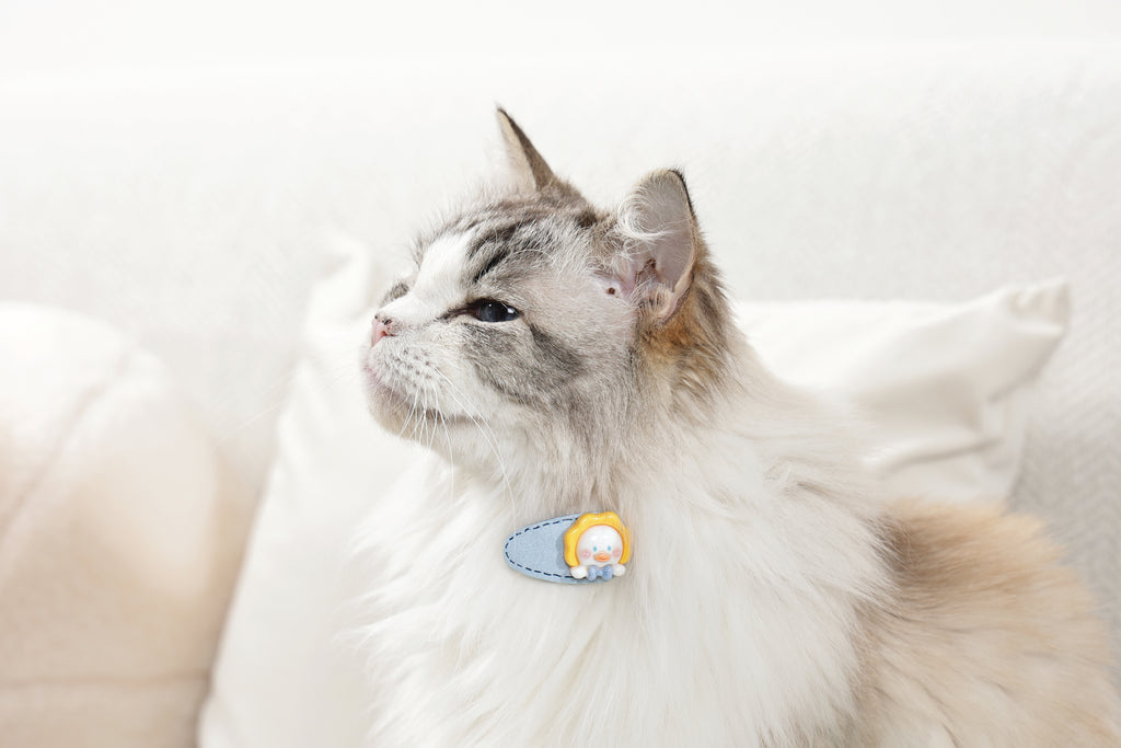 GLAM Accessori per capelli per animali clip - Giallo