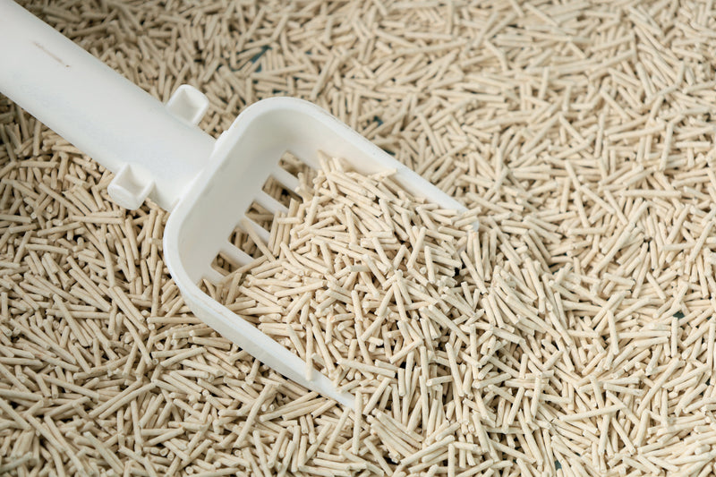 SOYA Lettiera Organica per Gatti Naturale