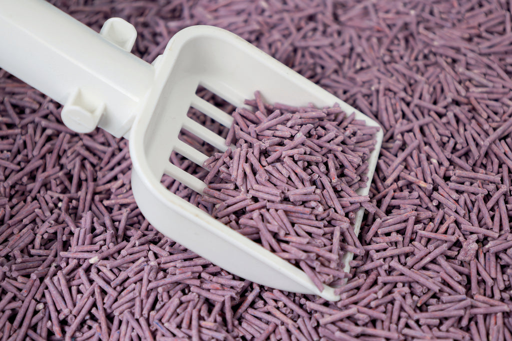 SOYA Lettiera Organica per Gatti Lavanda