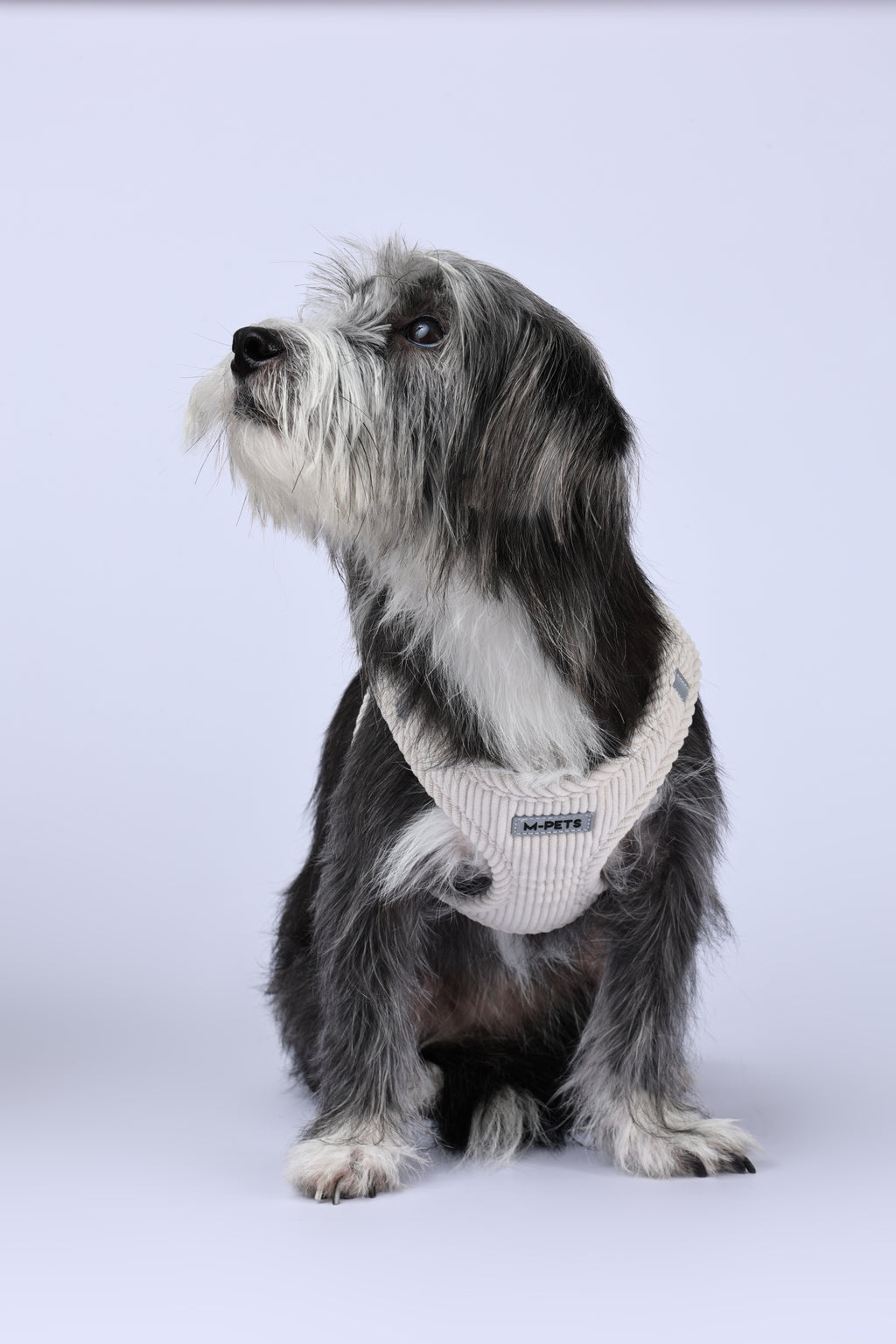 VELVET Dog harness Oat Beige