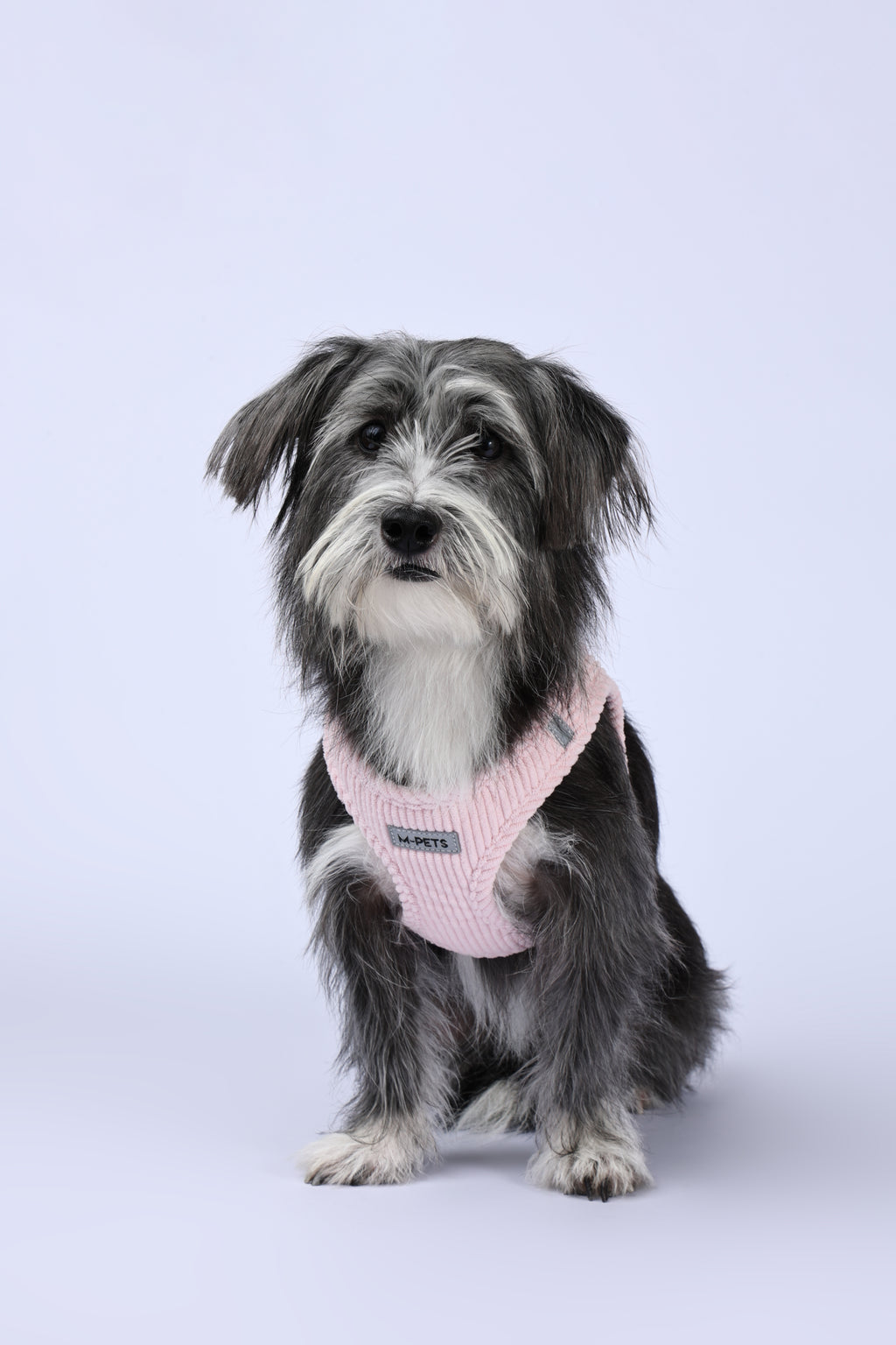 VELVET Dog harness Petal Pink