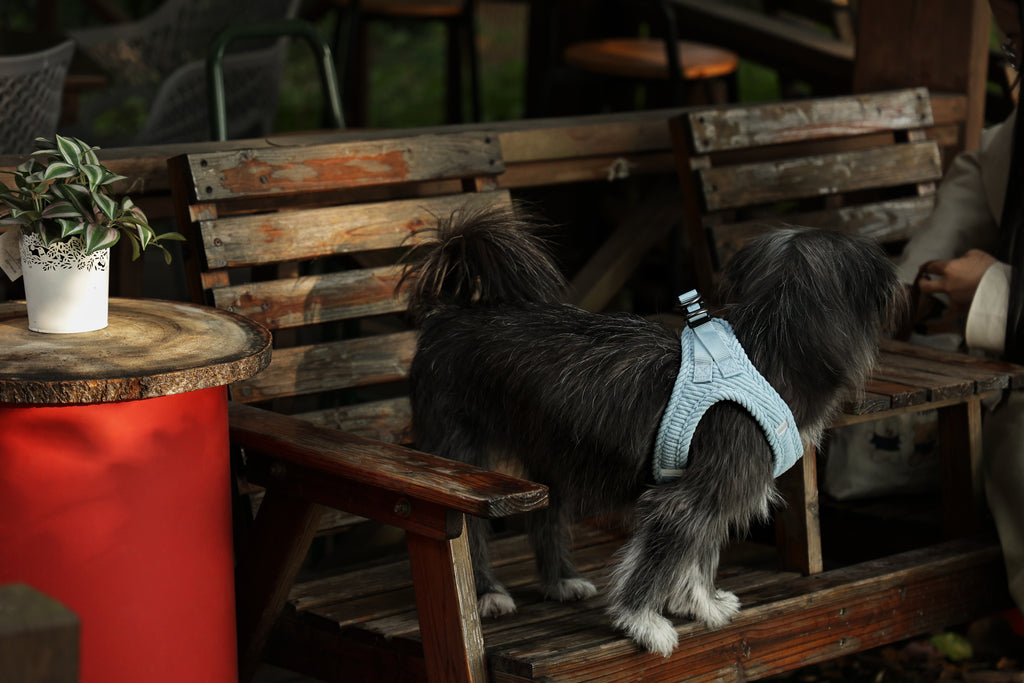 VELVET Dog harness Dusty Blue