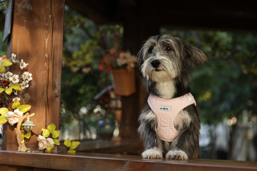 VELVET Dog harness Petal Pink