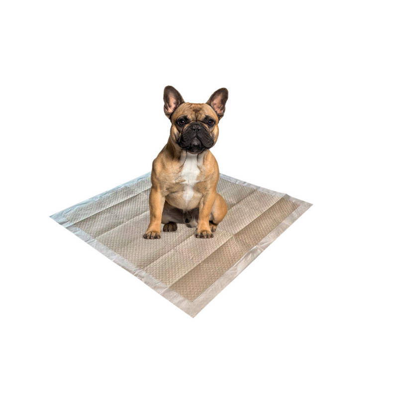 Tappetini ECO per addestramento 60 x 60 cm - 50 pz