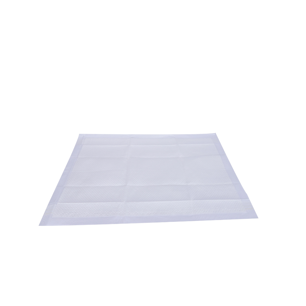 Eeasy Fix Training Pads 90 x 60 cm - 30 pz