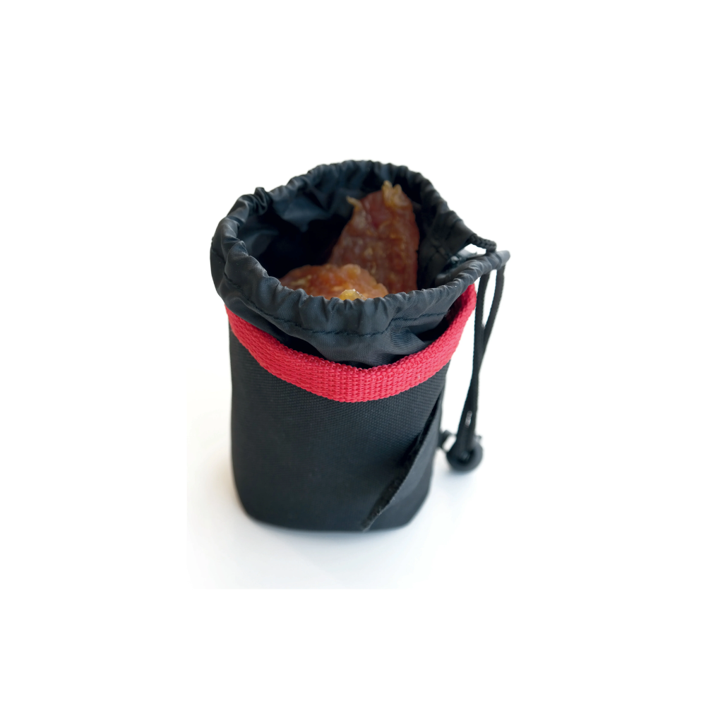 Borsa NAZCA Treat