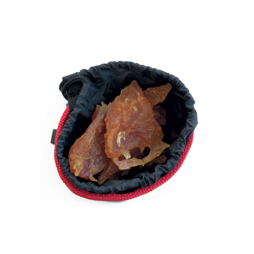 Borsa NAZCA Treat