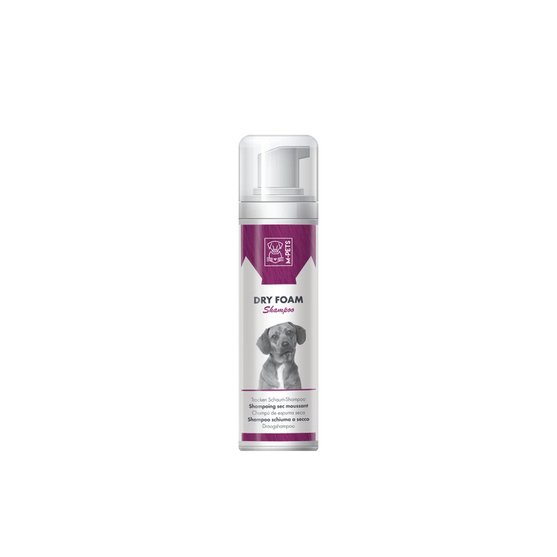 FOAM ASCIUTTO 230 ml