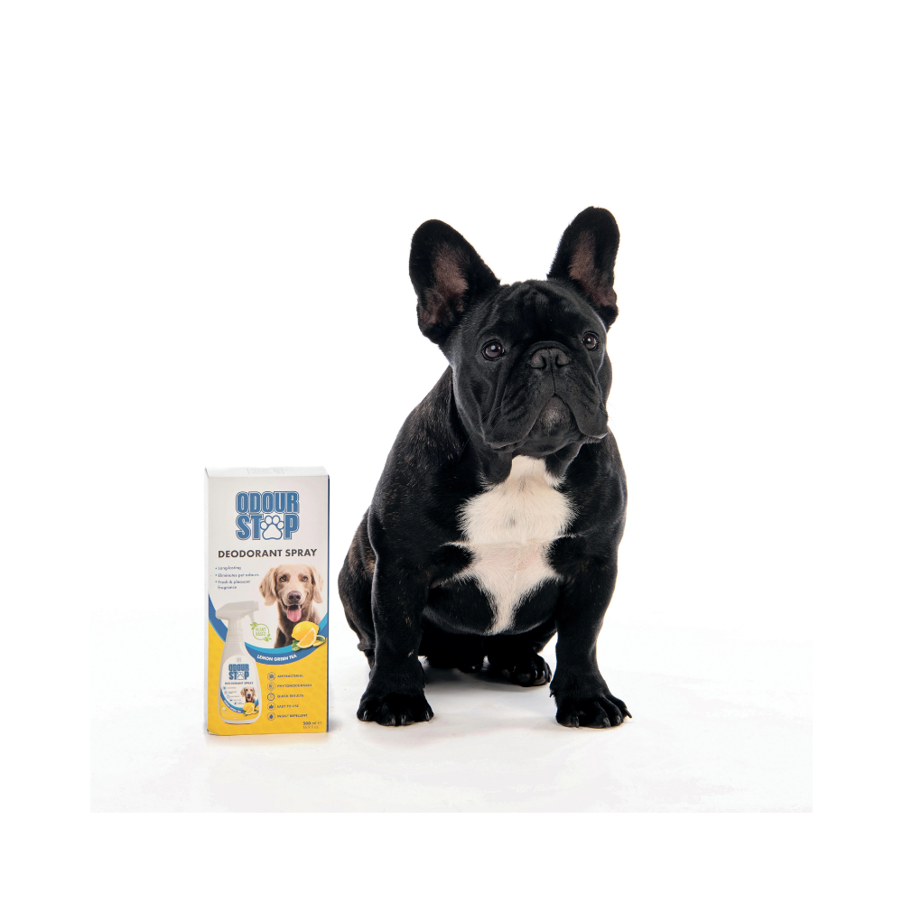 ODOUR STOP Spray Deodorante - Limone Tè Verde 500 ml
