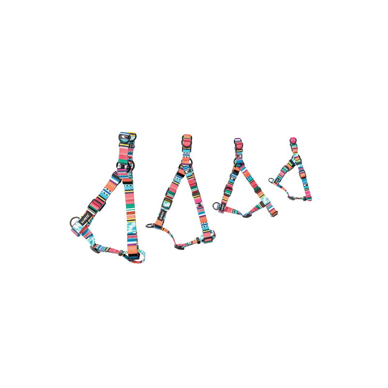 Imbracatura URBAN STYLE Jazz Stripes