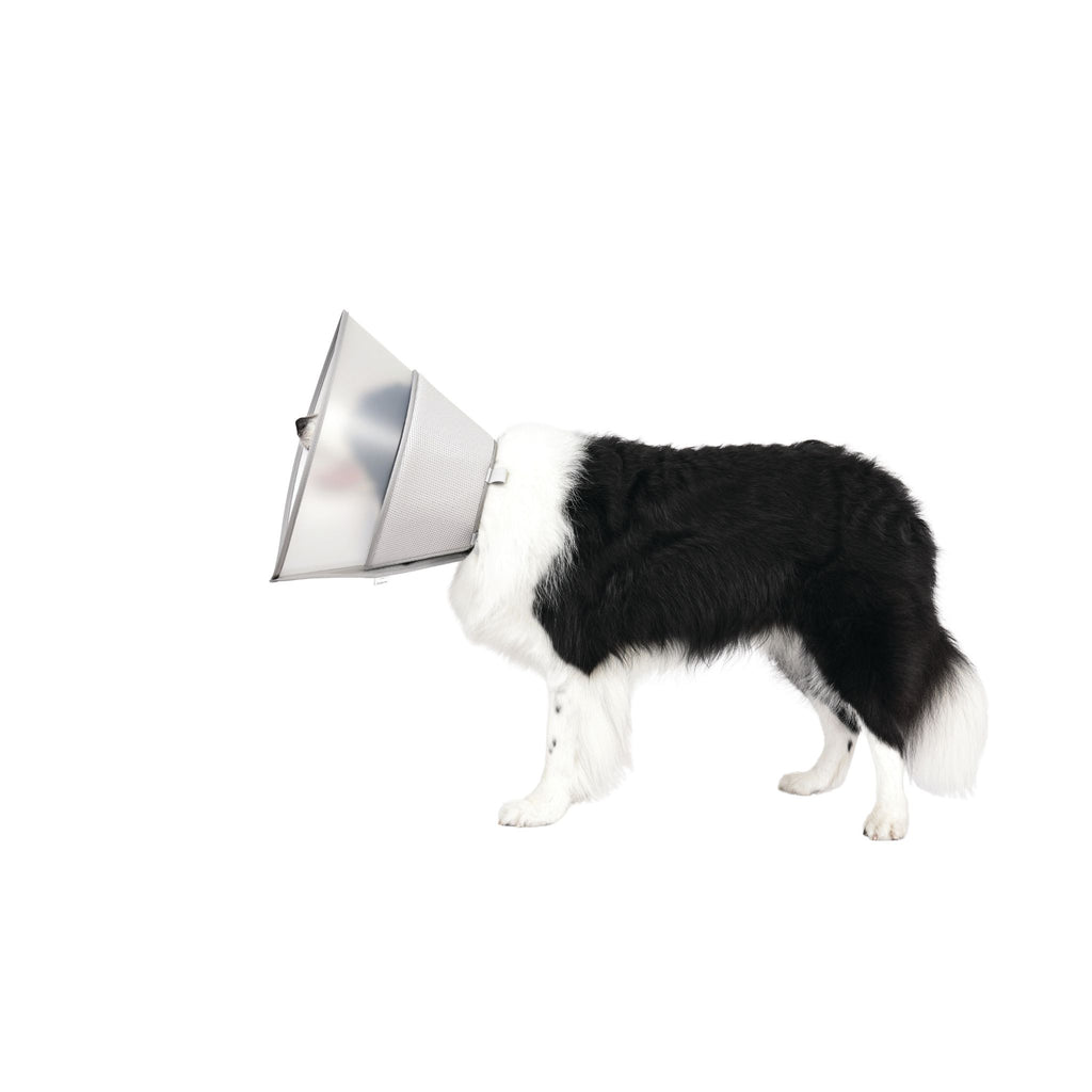 PROCARE Cone Collar