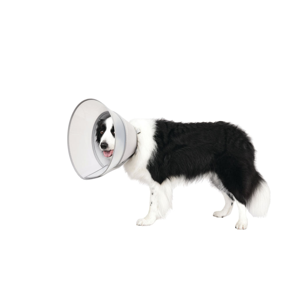 PROCARE Cone Collar
