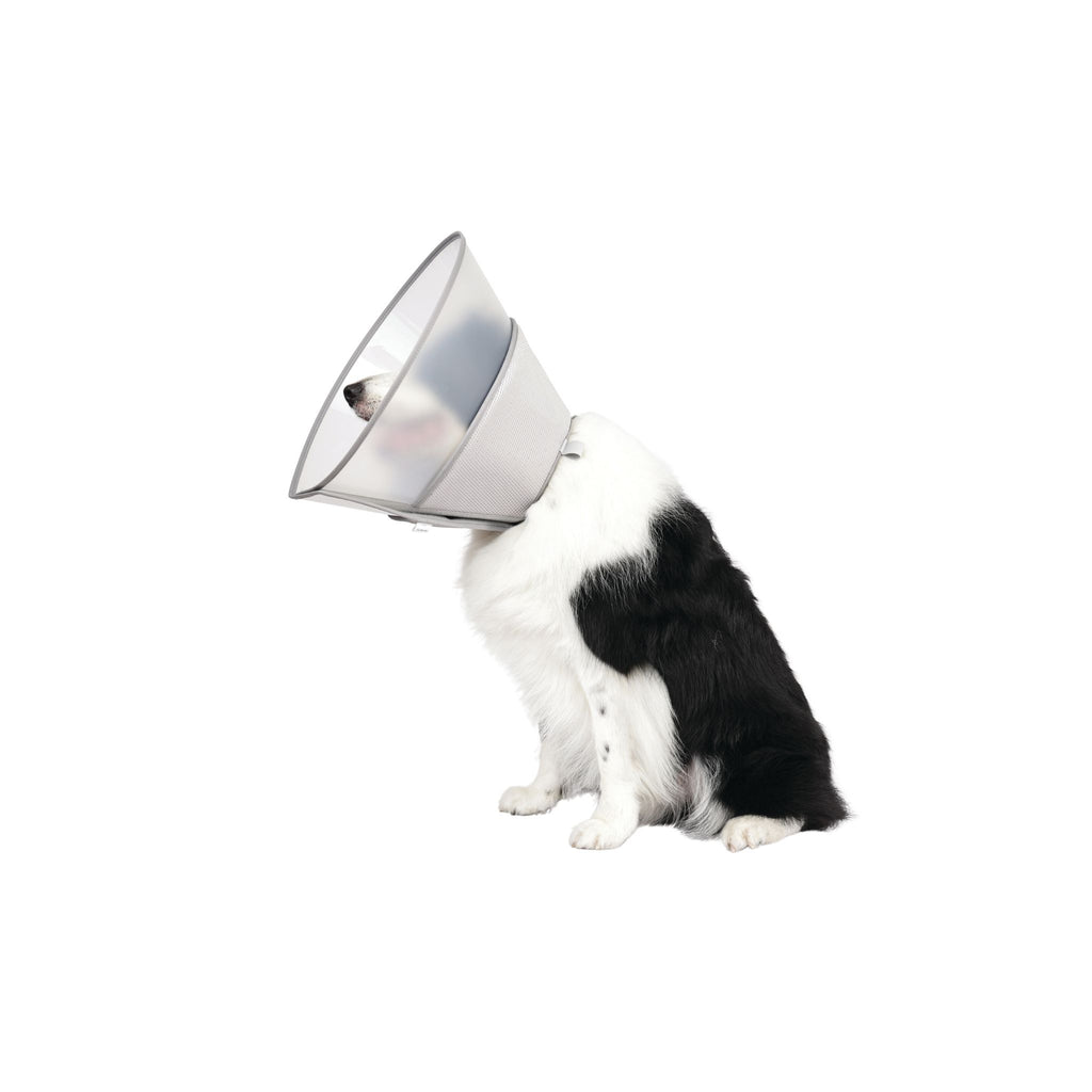PROCARE Cone Collar