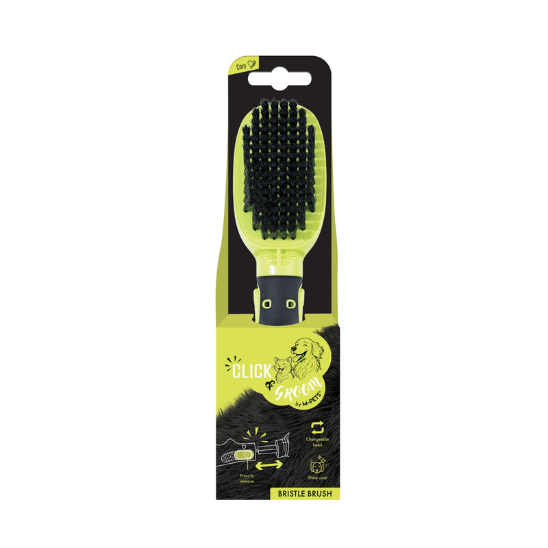 CLICK and GROOM Bristle Brush