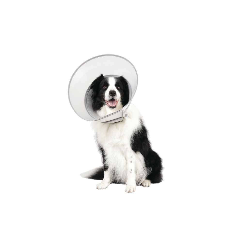 PROCARE Cone Collar